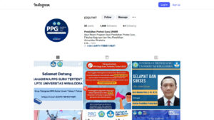instagram_ppg